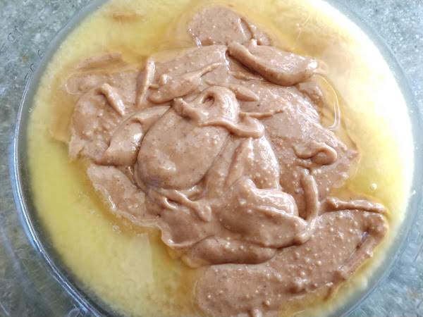 Keto No Bake Peanut Butter Coconut Bars Recipe