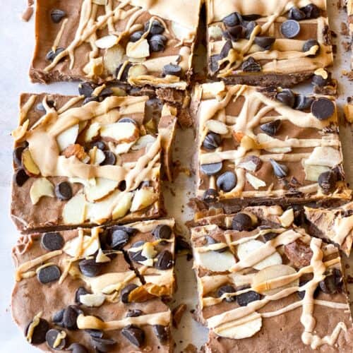 Sugar Free Chocolate Yogurt Bark Recipe