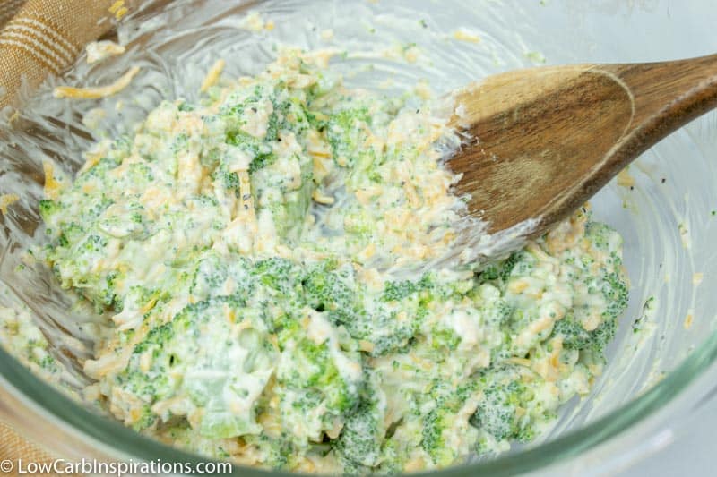 Hot Broccoli Cheese Dip Recipe
