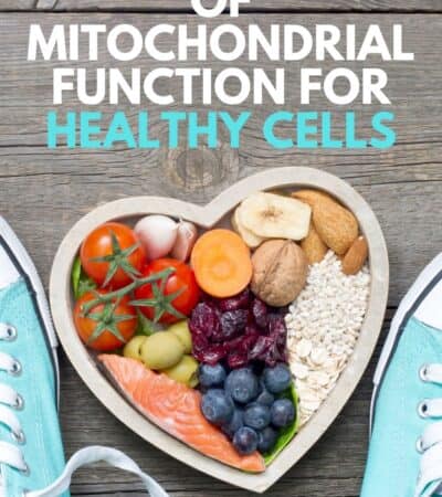 The Importance of Mitochondrial Function for Healthy Cells