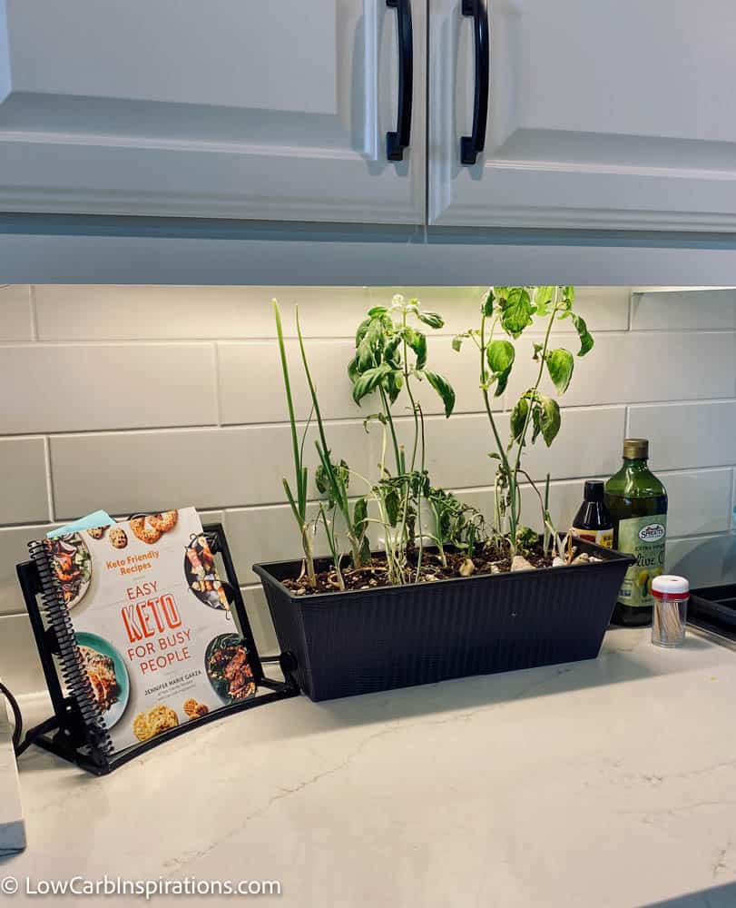Vegetables under a grow light on the kitchen counter