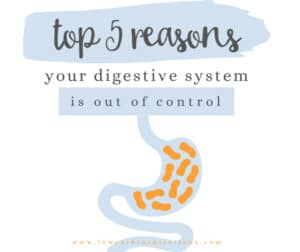 Top 5 Reasons Your Digestive System is Out of Control and What To Do ...